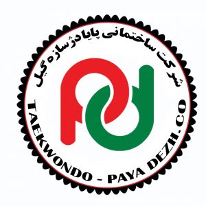 تشکیل تیم نونهالان تکواندو شرکت پایا دژ سازه گیل